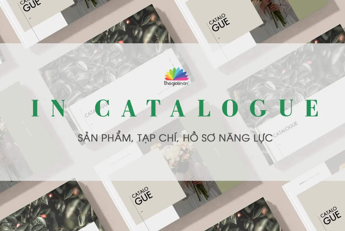 In Catalogue - In nhanh, chất lượng và uy tín