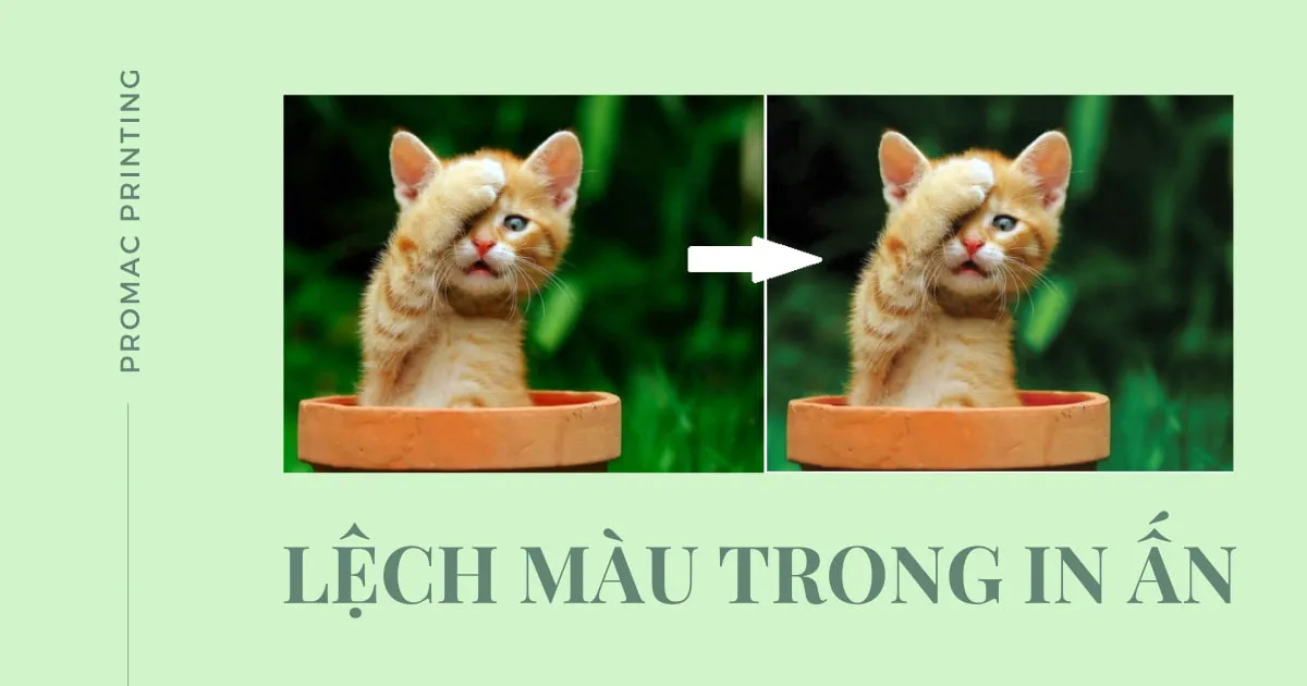 Độ lệch màu và những lưu ý