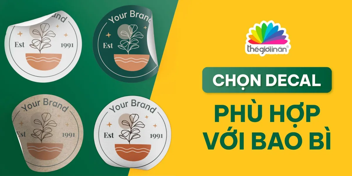 Bạn nên chọn Decal chất liệu gì để phù hợp với bao bì sản phẩm?