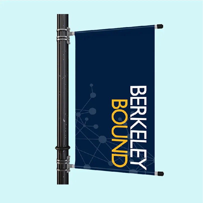 Băng rôn, banner