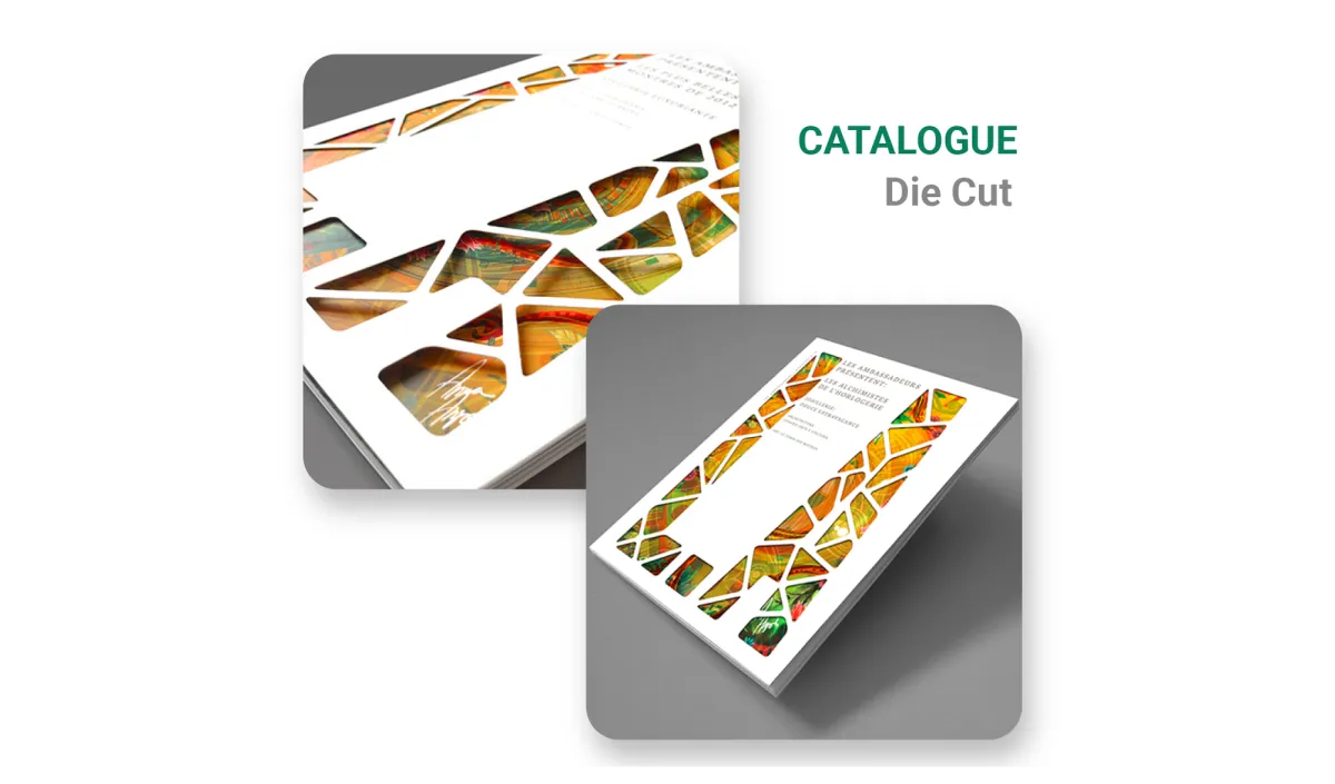 Tips Nhỏ Sử Dụng Và Sáng Tạo Catalogue