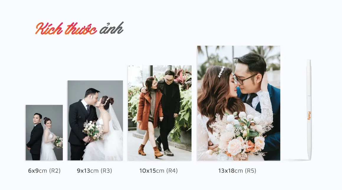 Công Năng và Mục Đích Sử Dụng