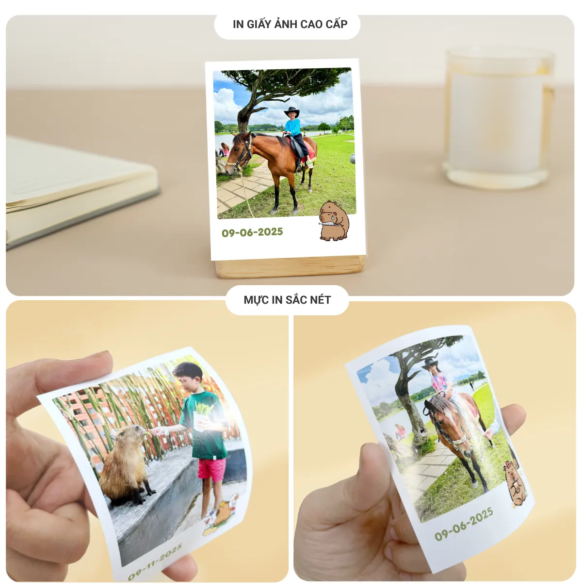 Giấy Ảnh Cao Cấp