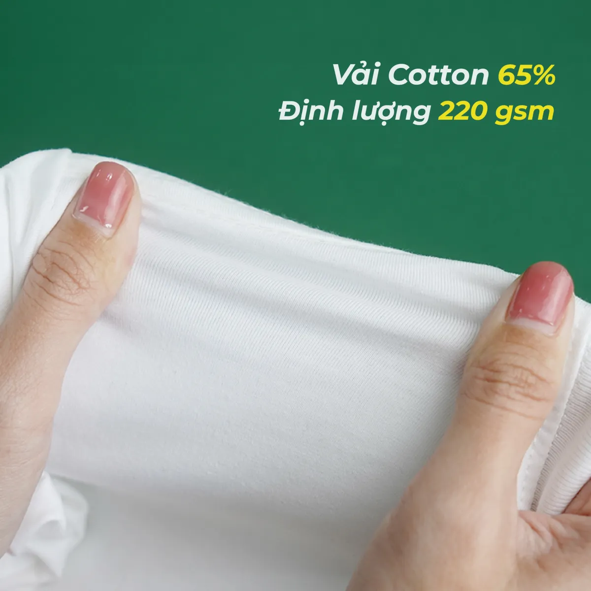 Vải Cotton 65%
