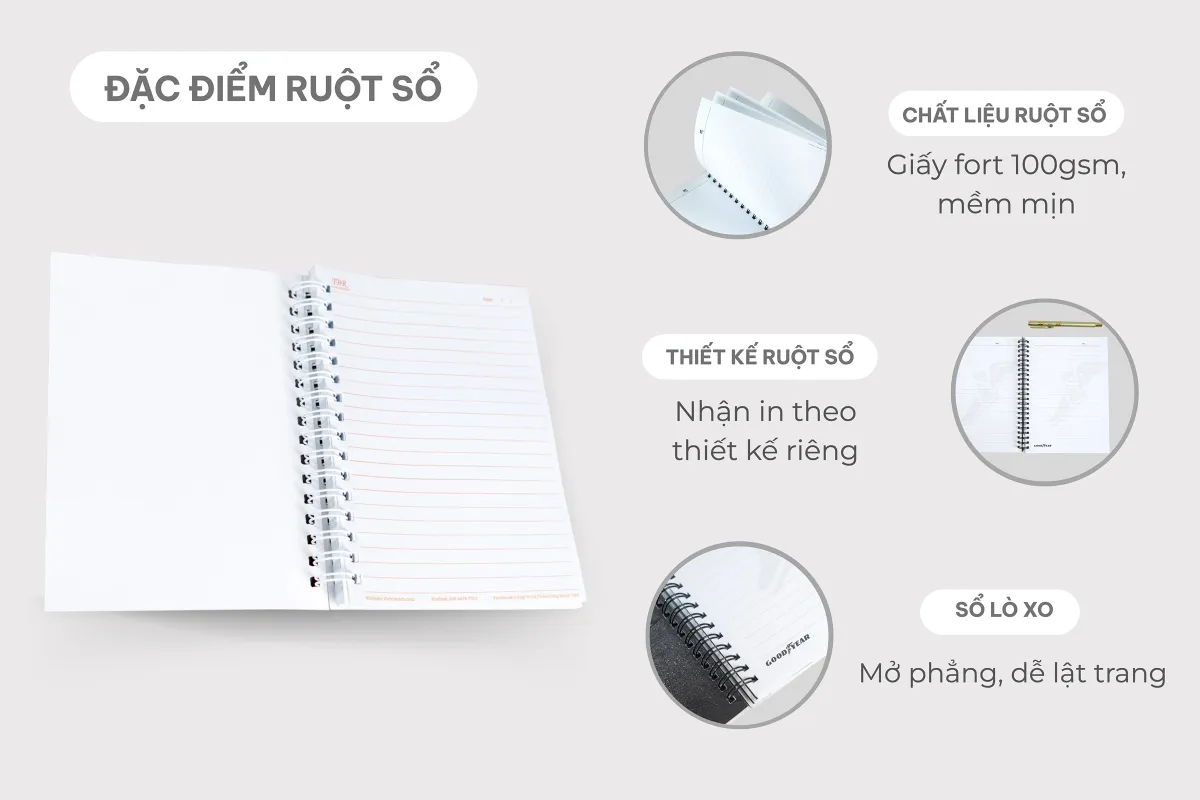 Đặc điểm ruột sổ
