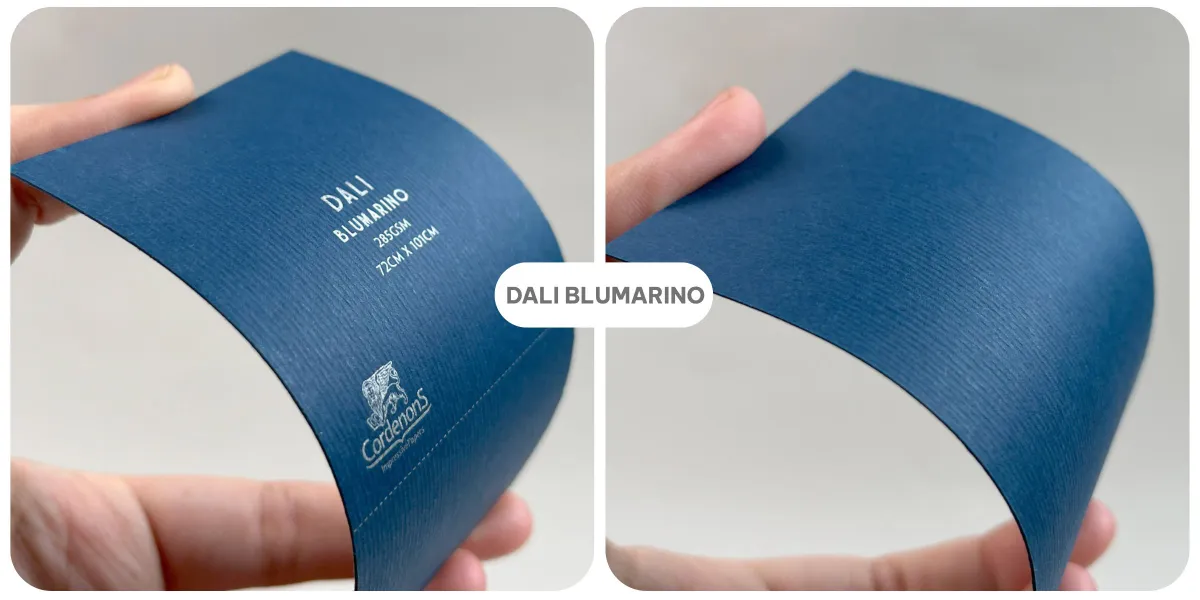 Dali Bluemarino