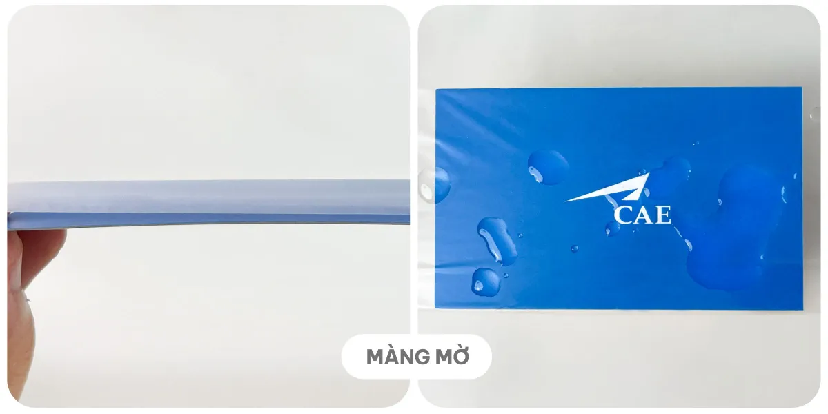 Cán màng bảo vệ