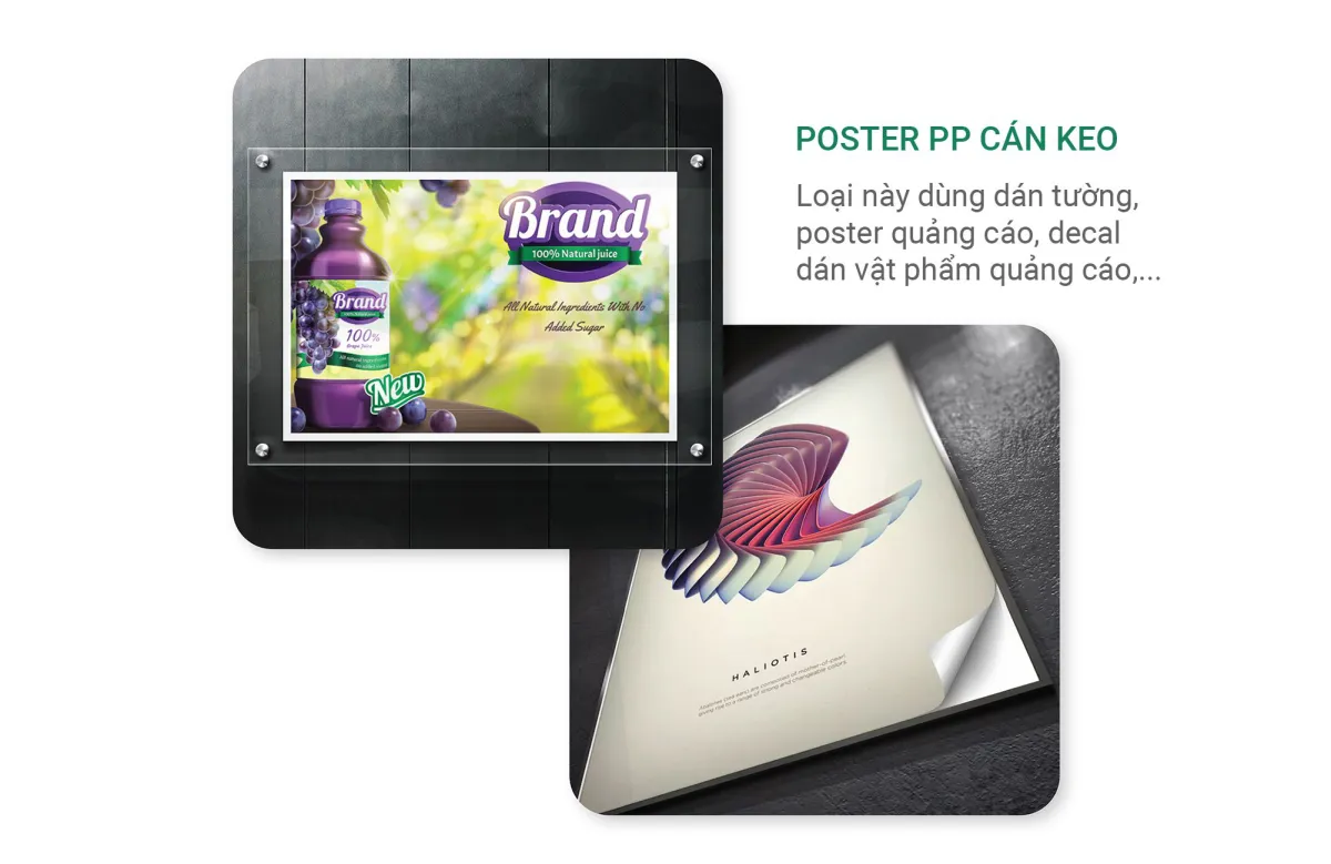 Poster PP cán keo